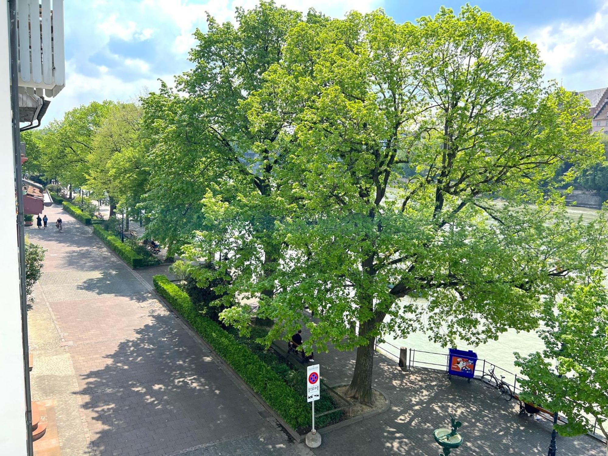 Riverside Basilej Exteriér fotografie
